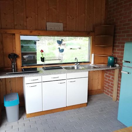 Ferienwohnung Und Sommerhaus Unter Der Burg Falkenberg  Exteriér fotografie