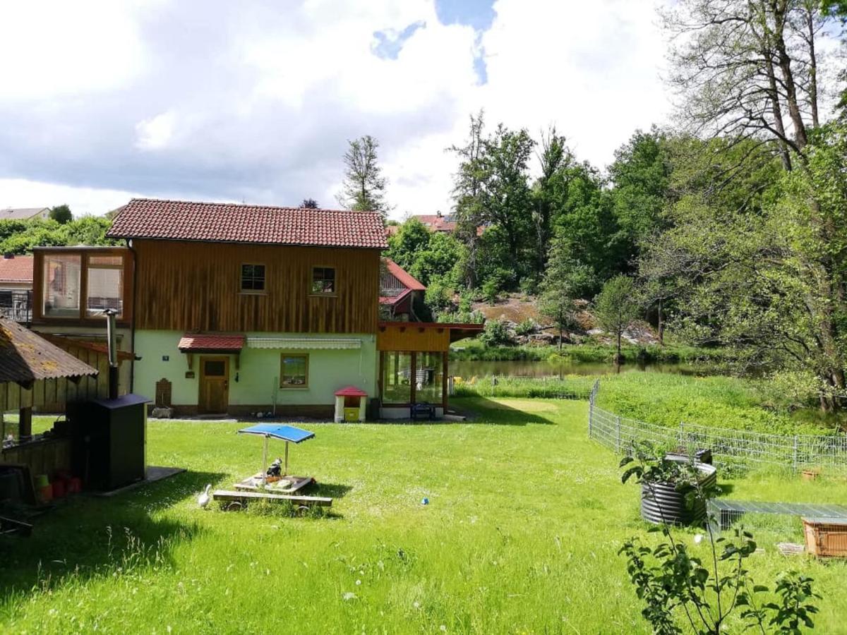 Ferienwohnung Und Sommerhaus Unter Der Burg Falkenberg  Exteriér fotografie