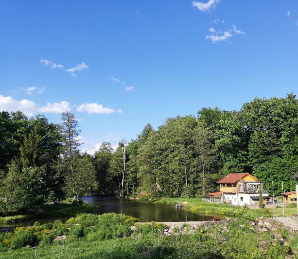 Ferienwohnung Und Sommerhaus Unter Der Burg Falkenberg  Exteriér fotografie