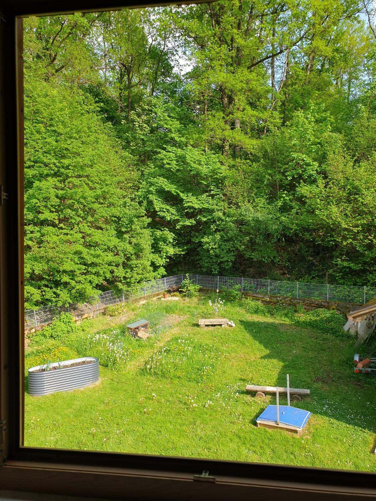 Ferienwohnung Und Sommerhaus Unter Der Burg Falkenberg  Exteriér fotografie